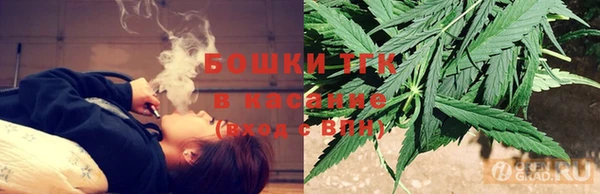 сатива Аркадак