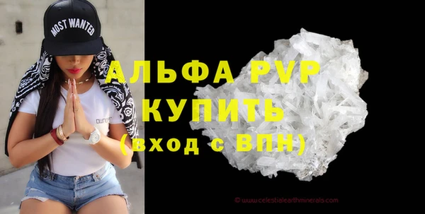 сатива Аркадак