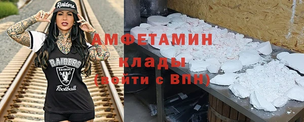 сатива Аркадак