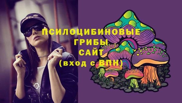 хмурый Арсеньев