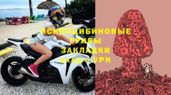 молекула духа Армянск