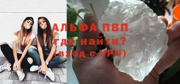 сатива Аркадак