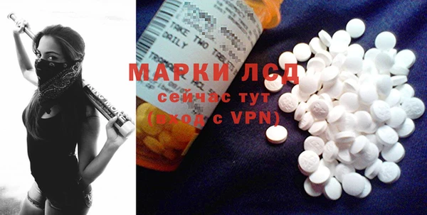 сатива Аркадак