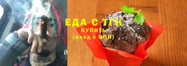 хмурый Арсеньев
